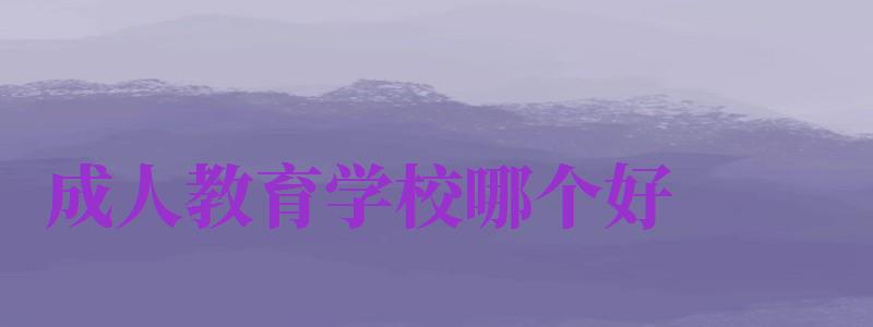 成人教育学校哪个好（成人教育哪所学校好）