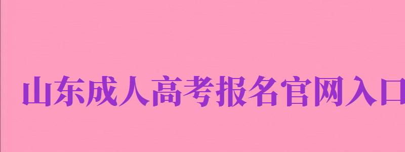 山东成人高考报名官网入口