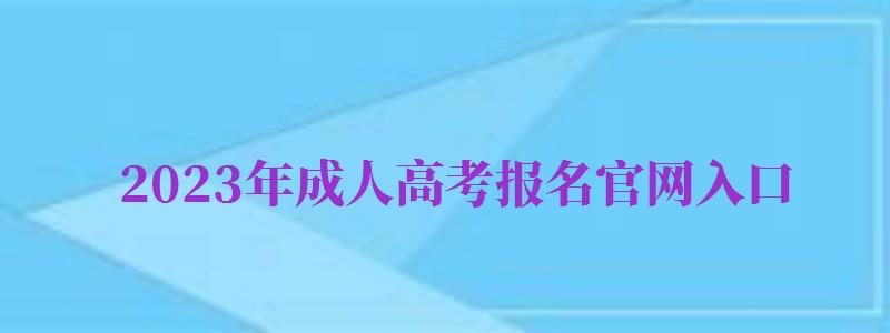 2024年成人高考报名官网入口