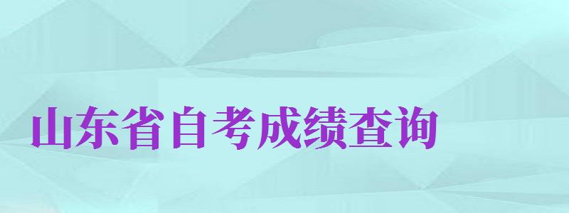 山东省自考成绩查询（山东省自考成绩查询系统入口）