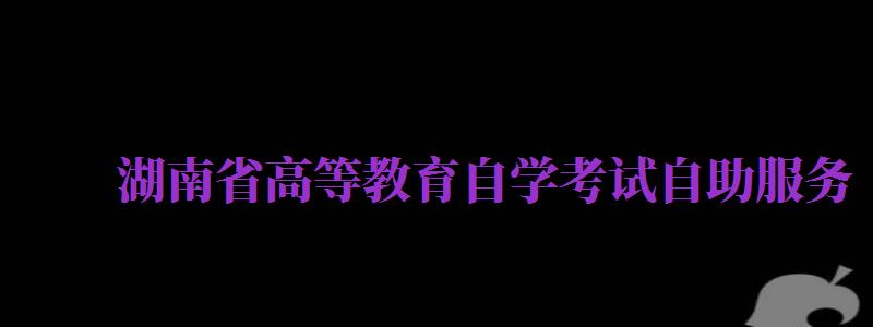 湖南省高等教育自学考试自助服务（湖南省高等教育自学考试自助服务怎么修改信息）