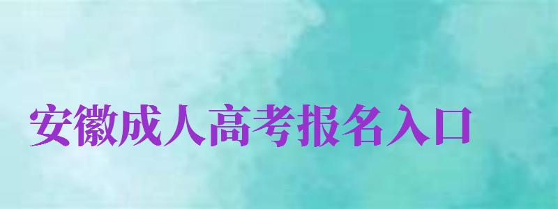 安徽成人高考报名入口