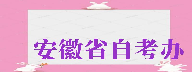 安徽省自考办（安徽省自考办官网）