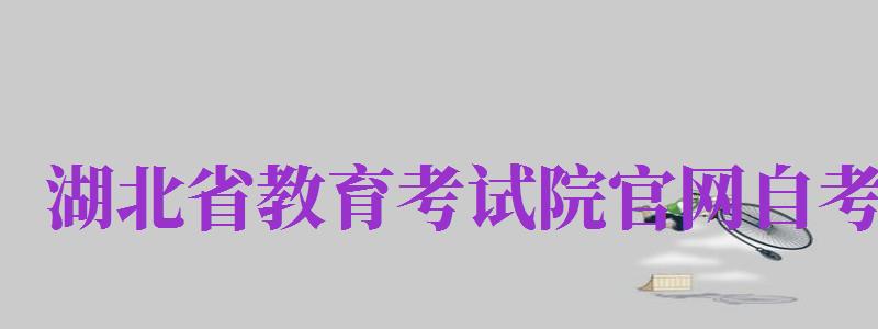 湖北省教育考试院官网自考（湖北省教育考试院官网自考成绩查询）