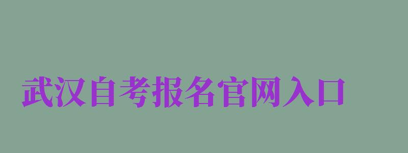 武汉自考报名官网入口（武汉自考报名官网入口登录）